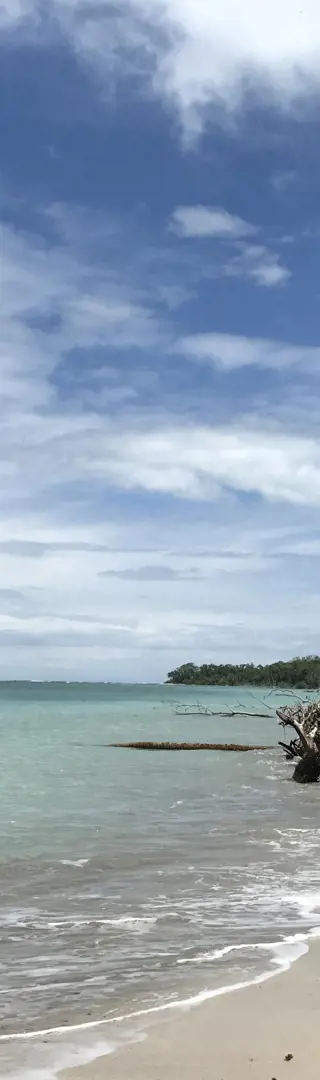 Karibik pur